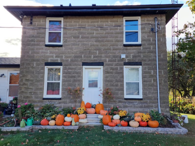 Thanksgiving Decor - a house with pumpkins and gourds in front of it