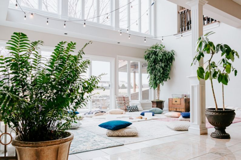 Yoga Studio - blue swimming pool near green potted plant