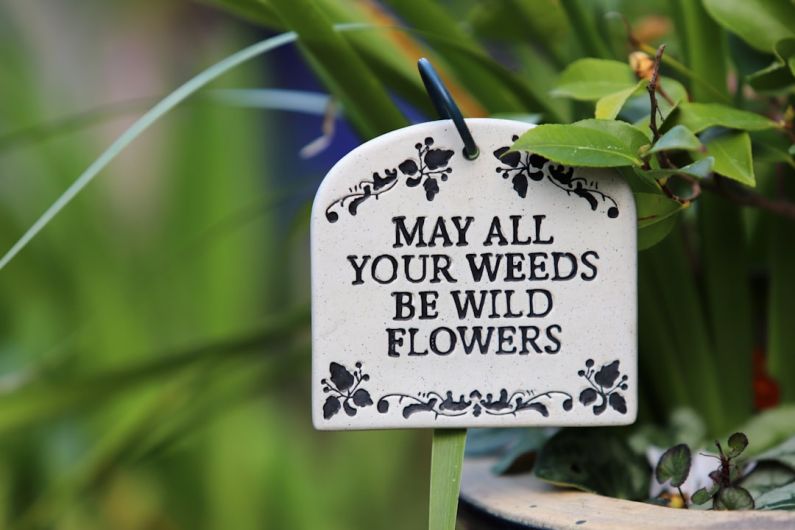 Garden Art - May All Your Weeds signage